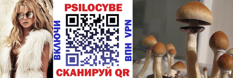 наркотики  Александровск  Галлюциногенные грибы Psilocybine cubensis 